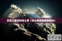 世界上最帅的哈士奇（哈士奇是最帅的狗吗）