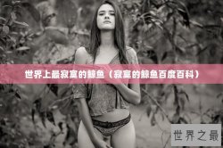 世界上最寂寞的鲸鱼（寂寞的鲸鱼百度百科）