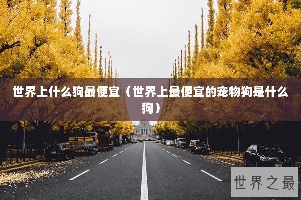 世界上什么狗最便宜（世界上最便宜的宠物狗是什么狗）