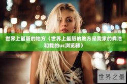 世界上最脏的地方（世界上最脏的地方是我家的粪池和我的uc浏览器）