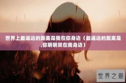 世界上最遥远的距离是我在你身边（最遥远的距离是,你明明就在我身边）