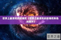 世界上最漂亮的玫瑰花（世界上最漂亮的玫瑰花粉色的图片）