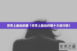 世界上最凶的猫（世界上最凶的猫十大排行榜）