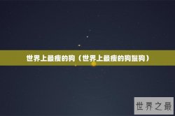 世界上最瘦的狗（世界上最瘦的狗鬣狗）