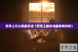 世界上什么狗最听话（世界上最听话最聪明的狗）