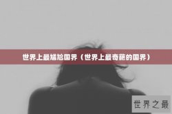 世界上最尴尬国界（世界上最奇葩的国界）