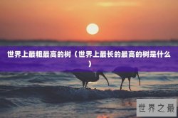 世界上最粗最高的树（世界上最长的最高的树是什么）