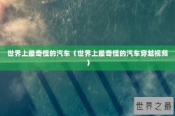 世界上最奇怪的汽车（世界上最奇怪的汽车穿越视频）