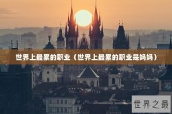 世界上最累的职业（世界上最累的职业是妈妈）