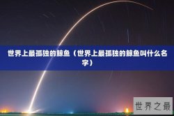 世界上最孤独的鲸鱼（世界上最孤独的鲸鱼叫什么名字）