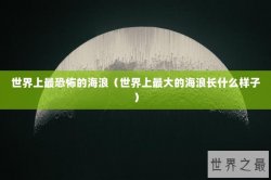 世界上最恐怖的海浪（世界上最大的海浪长什么样子）