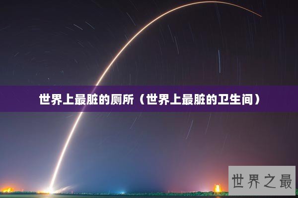 世界上最脏的厕所（世界上最脏的卫生间）