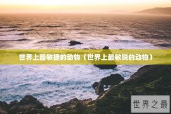 世界上最敏捷的动物（世界上最敏锐的动物）