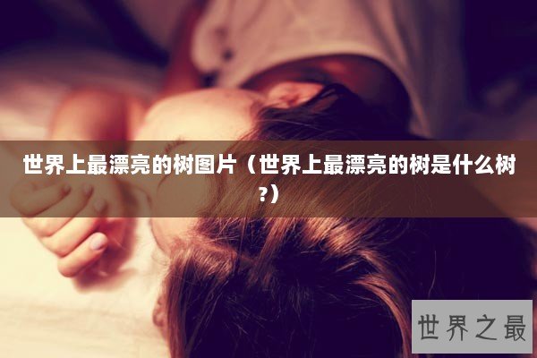 世界上最漂亮的树图片（世界上最漂亮的树是什么树?）
