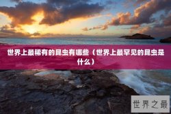 世界上最稀有的昆虫有哪些（世界上最罕见的昆虫是什么）