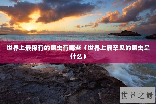 世界上最稀有的昆虫有哪些（世界上最罕见的昆虫是什么）