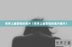 世界上最害怕的鬼片（世界上最害怕的鬼片图片）