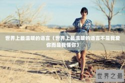 世界上最温暖的语言（世界上最温暖的语言不是我爱你而是我懂你）
