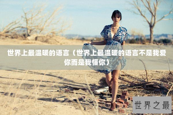 世界上最温暖的语言（世界上最温暖的语言不是我爱你而是我懂你）
