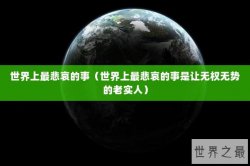 世界上最悲哀的事（世界上最悲哀的事是让无权无势的老实人）