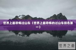 世界上最恐怖过山车（世界上最恐怖的过山车排名第一）