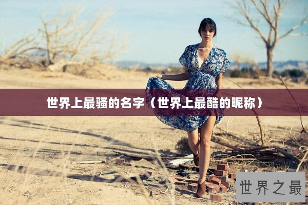 世界上最骚的名字（世界上最酷的昵称）