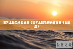 世界上最恐怖的鲨鱼（世界上最恐怖的鲨鱼是什么鲨鱼）