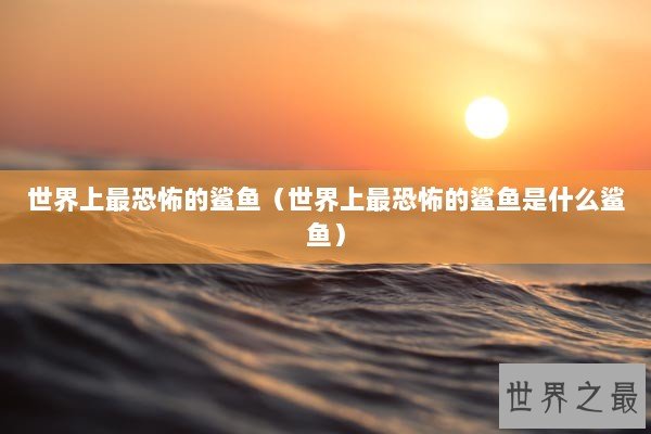 世界上最恐怖的鲨鱼（世界上最恐怖的鲨鱼是什么鲨鱼）
