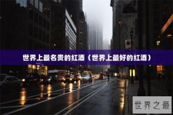 世界上最名贵的红酒（世界上最好的红酒）