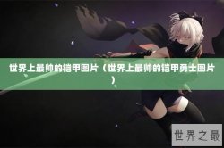 世界上最帅的铠甲图片（世界上最帅的铠甲勇士图片）