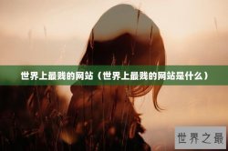 世界上最贱的网站（世界上最贱的网站是什么）