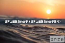 世界上最致命的虫子（世界上最致命的虫子图片）