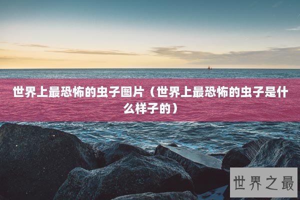 世界上最恐怖的虫子图片（世界上最恐怖的虫子是什么样子的）