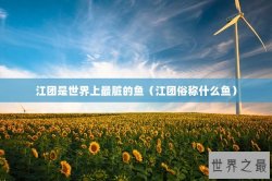 江团是世界上最脏的鱼（江团俗称什么鱼）