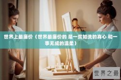 世界上最廉价（世界最廉价的 是一贫如洗的真心 和一事无成的温柔）