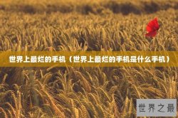 世界上最烂的手机（世界上最烂的手机是什么手机）