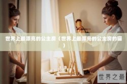 世界上最漂亮的公主房（世界上最漂亮的公主房的猫）