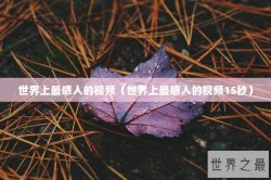 世界上最感人的视频（世界上最感人的视频15秒）