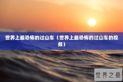 世界上最恐怖的过山车（世界上最恐怖的过山车的视频）