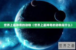 世界上最神奇的动物（世界上最神奇的动物是什么）