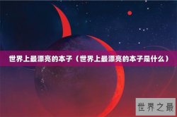 世界上最漂亮的本子（世界上最漂亮的本子是什么）