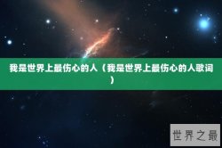 我是世界上最伤心的人（我是世界上最伤心的人歌词）