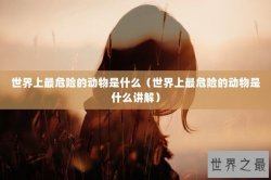 世界上最危险的动物是什么（世界上最危险的动物是什么讲解）