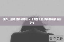 世界上最奇怪的植物图片（世界上最漂亮的植物的图片）