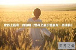 世界上最专一的动物（世界上最长情最专一的动物）