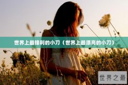 世界上最锋利的小刀（世界上最漂亮的小刀）