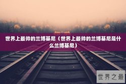 世界上最帅的兰博基尼（世界上最帅的兰博基尼是什么兰博基尼）