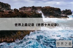 世界上最记录（世界十大记录）