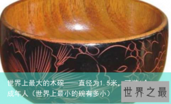 世界上最大的木碗——直径为1.5米，可装6个成年人（世界上最小的碗有多小）