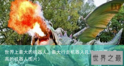 世界上最大的机器人，最大行走机器人凡尼（世界上最高的机器人图片）